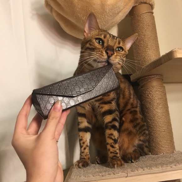 Gucci Other - SOLD❤️ 100% Authentic GUCCI glasses case